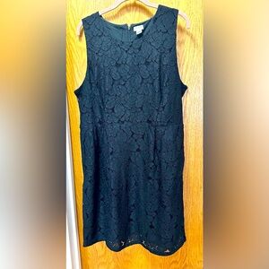 Loft Lace Dress